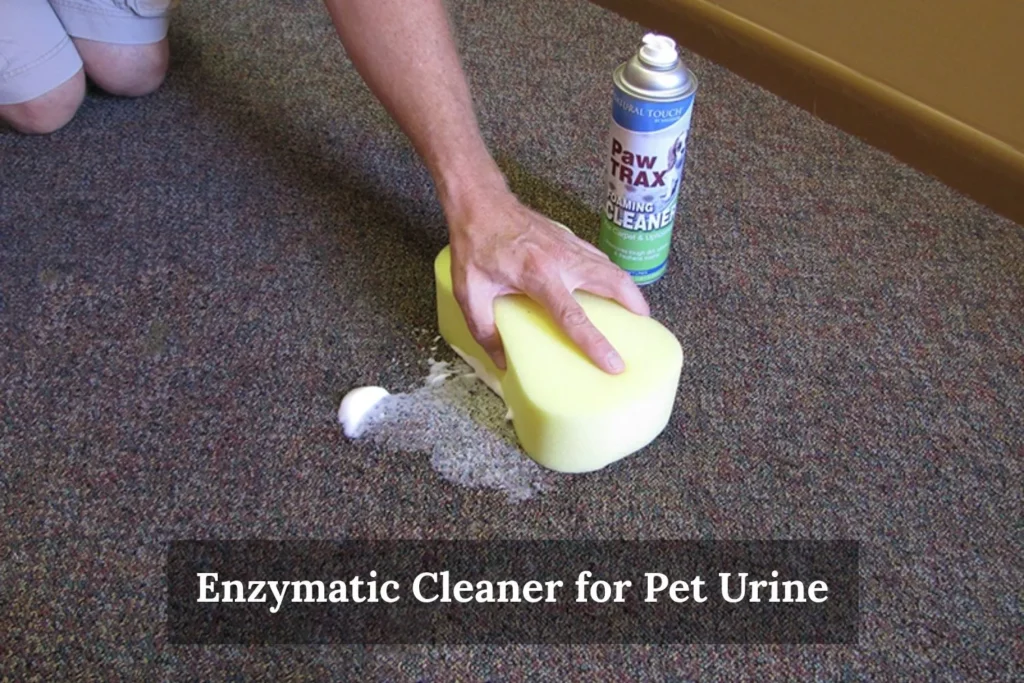 Enzymatic Cleaner for Pet Urine