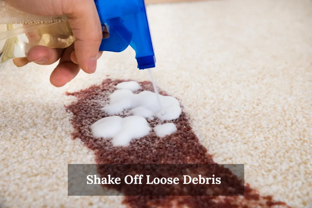 Shake Off Loose Debris