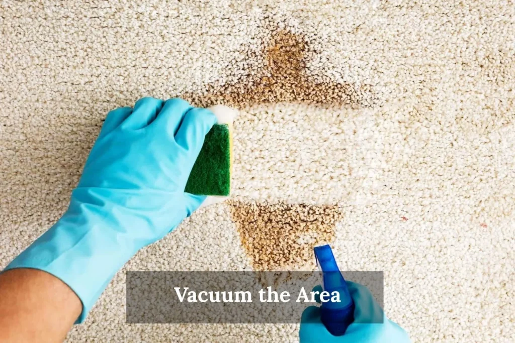 Vacuum the Area