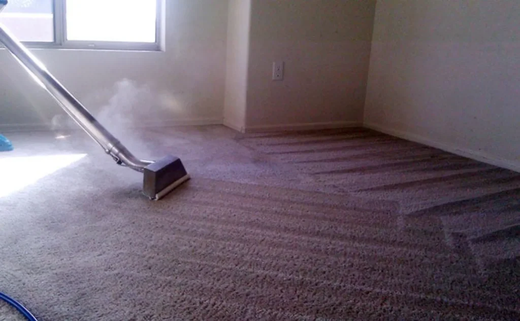 Scrub or Steam the Carpet